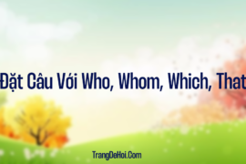 Đặt Câu Với Who, Whom, Which, That – Cách Dùng Chuẩn Và Ví Dụ Dễ Hiểu