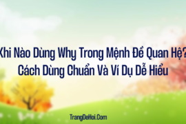 Khi Nào Dùng Why Trong Mệnh Đề Quan Hệ? Cách Dùng Chuẩn Và Ví Dụ Dễ Hiểu