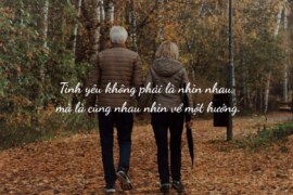 STT Hay Về Tình Yêu: 120+ Dòng Status Ngọt Ngào Chạm Đến Trái Tim